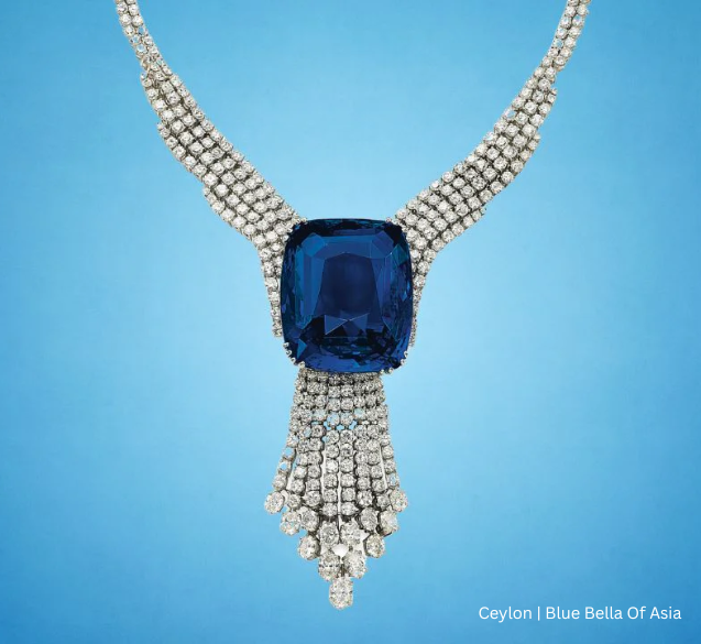 Blue Bella Of Asia | Ceylon